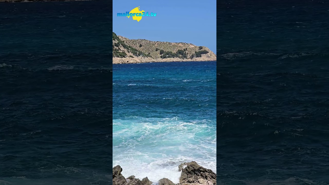 mallorca24tv - Die sch&ouml;nsten Wellen 🌊 gibt es nur auf Mallorca! 🌴 Was denkt ihr? 🥰 #mallorca #meer