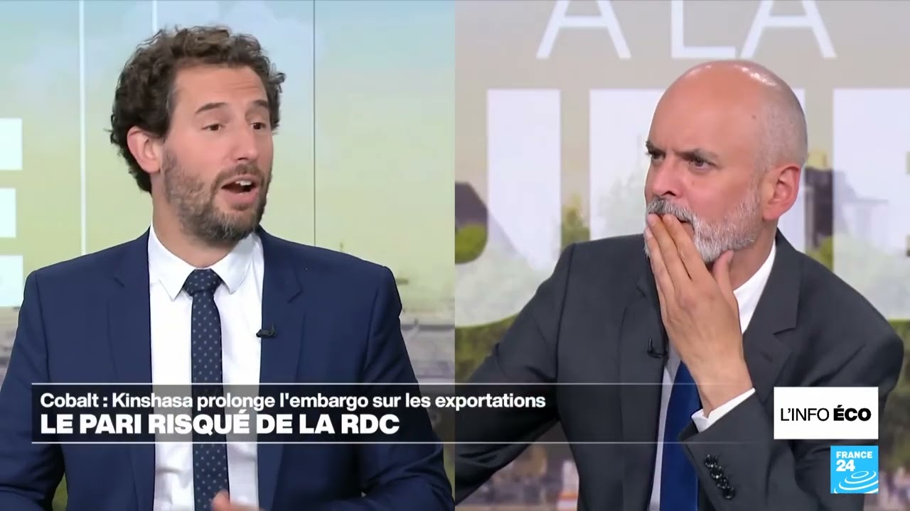 Cobalt   le pari risqué de la RDC • FRANCE 24