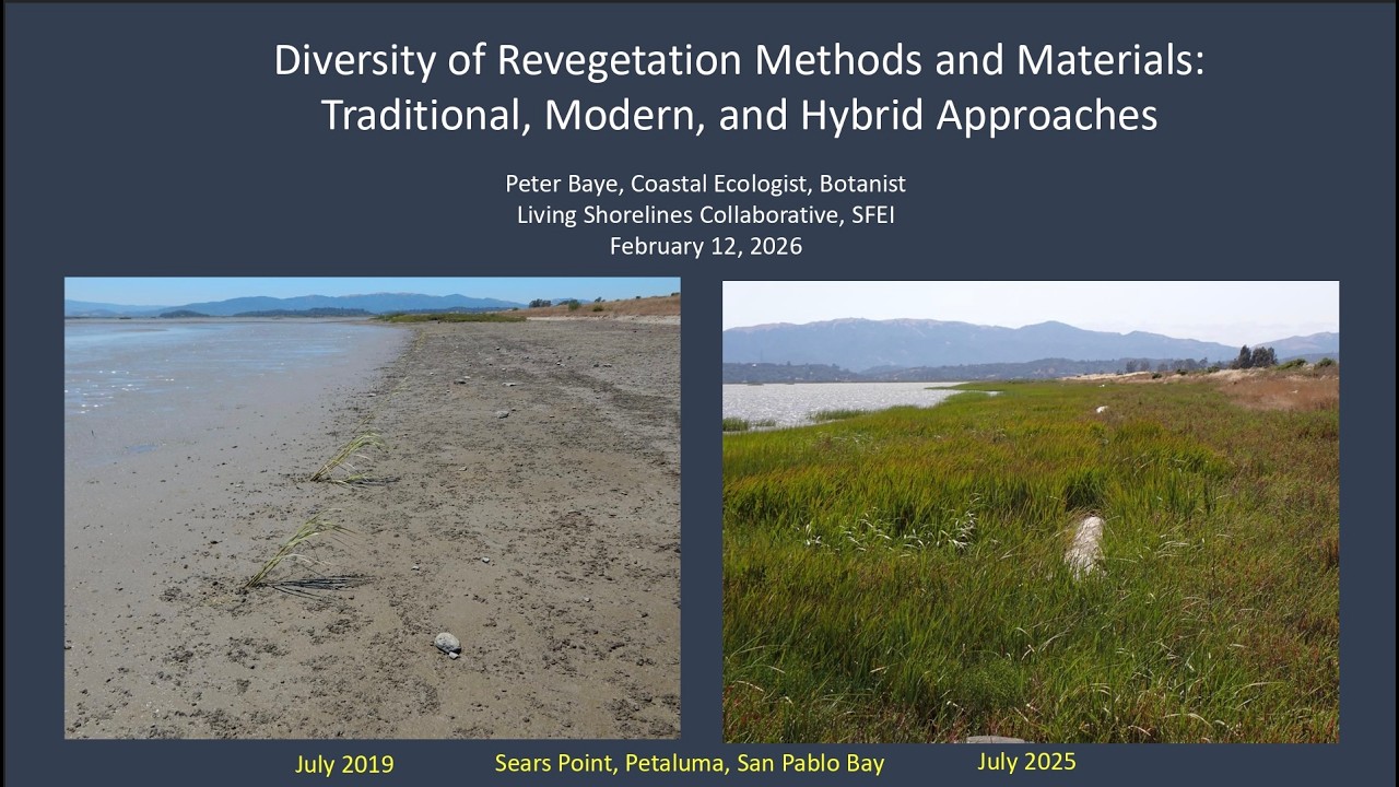 Diversity of Revegetation Methods and Materials: Traditional, Modern, and Hybrid Approaches