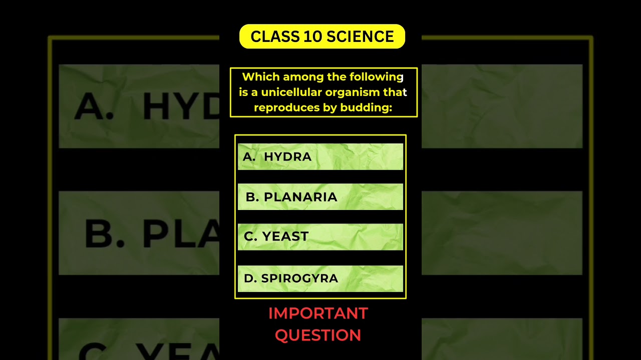 Science Important Questions Class 10 | Science Leaked Paper | Exphub | Prashant Kirad