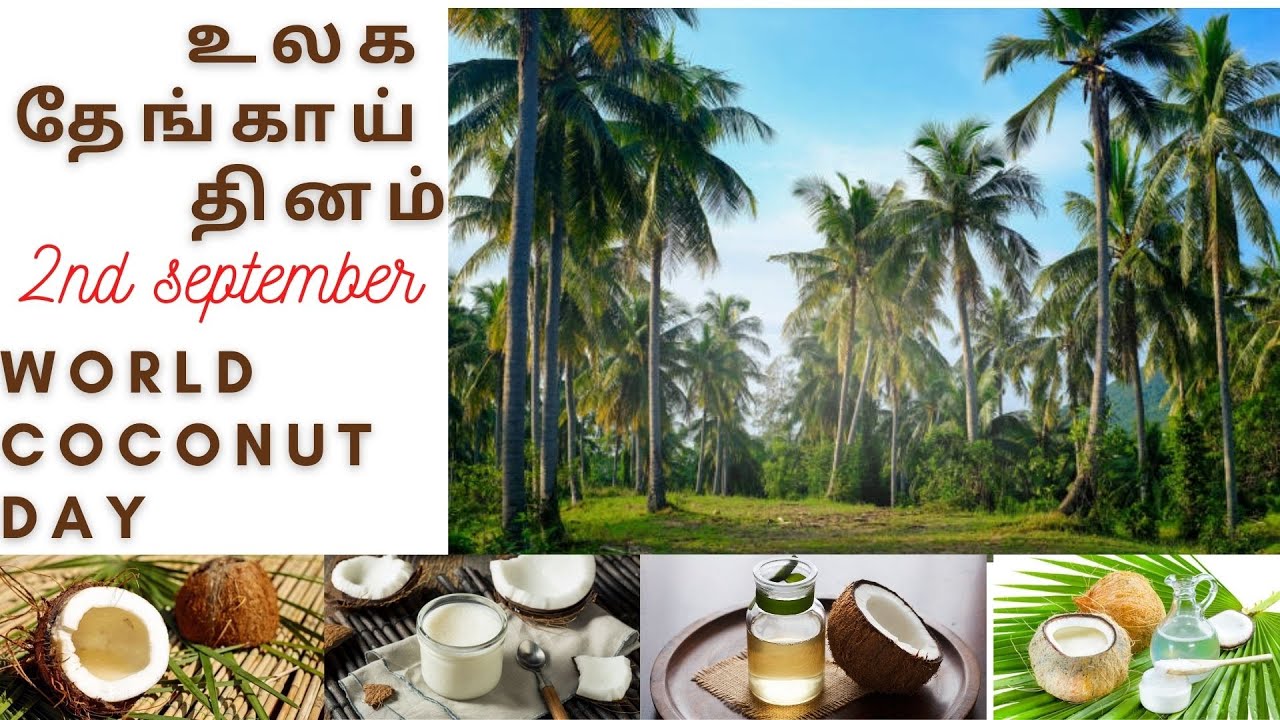 #WORLDCOCONUTDAY #WCD #MSVDistributions #APCC