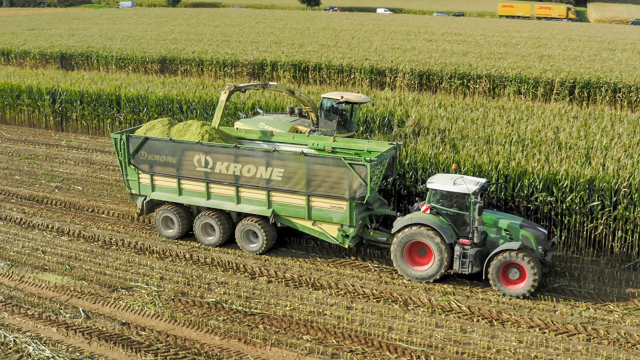 KRONE BiG X 1180 Maisernte 2019