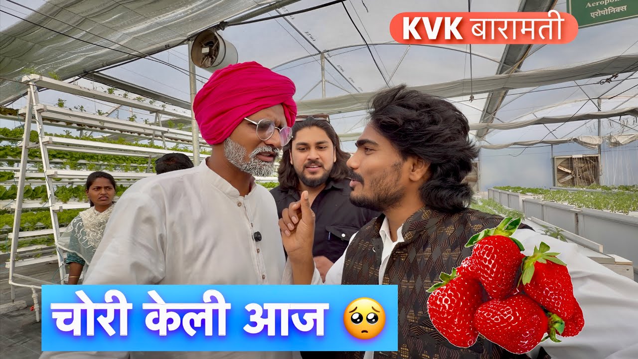 आज आम्ही केली चोरी पण कश्याची बघा 🥺 #vlogs 