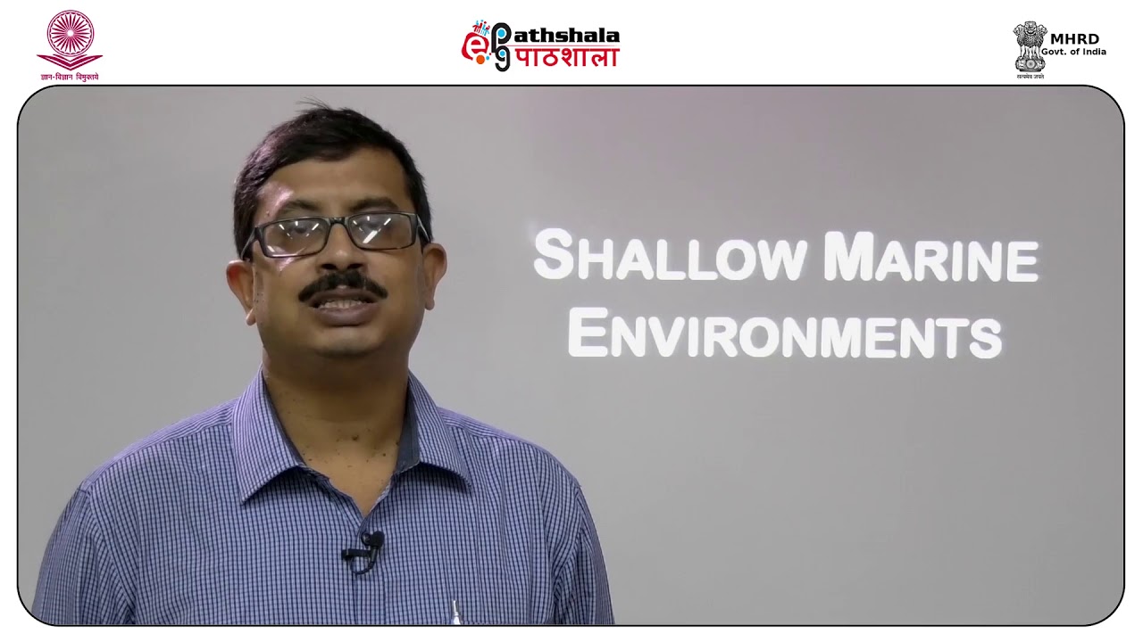 Clastic shallow marine environments  shoreface and shelf