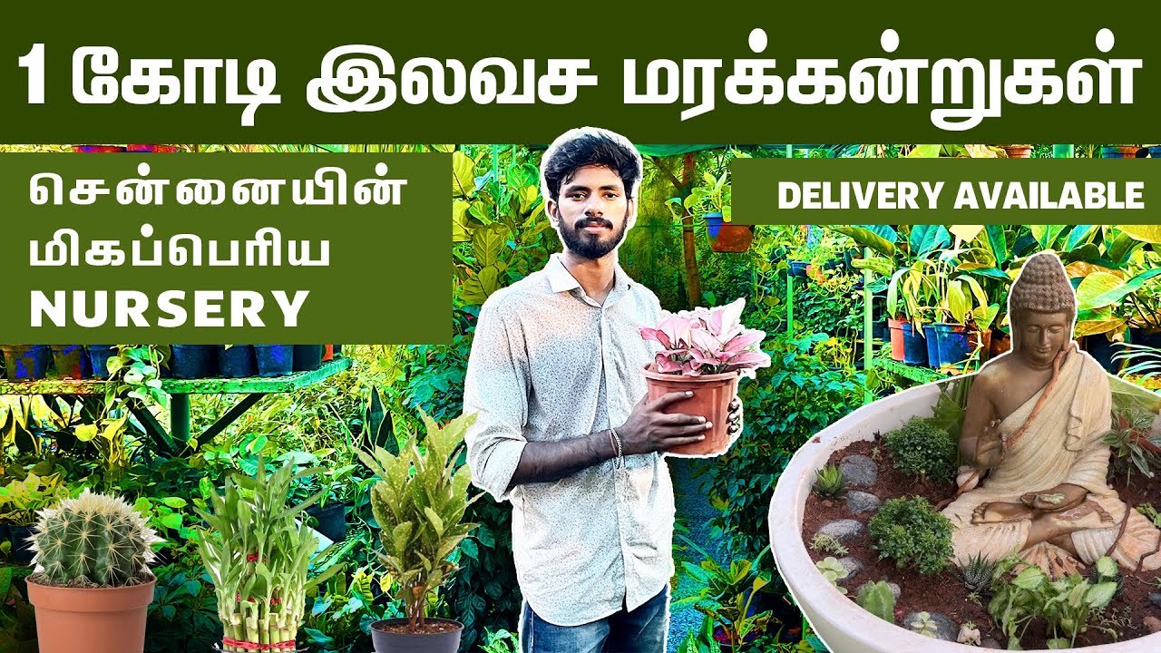 சென்னையின் மிகப்பெரிய Nursery Garden | Bumitraa | Sanjaysamy | Vlog #56