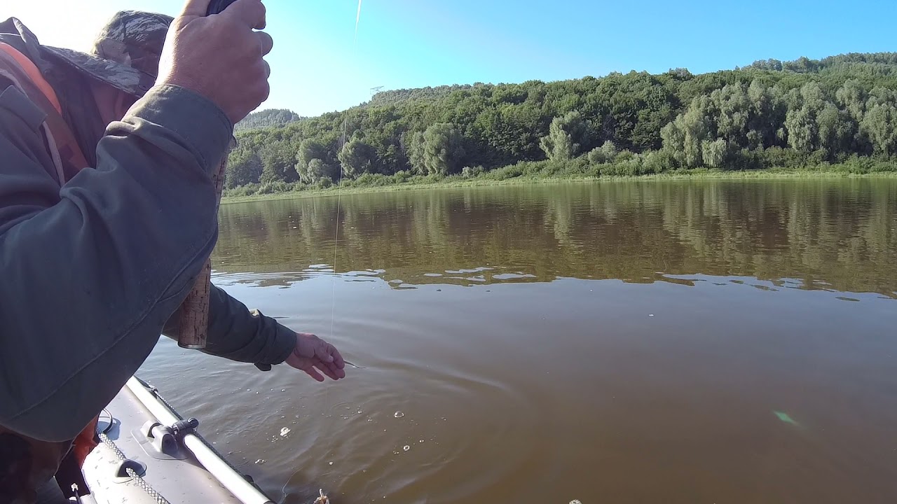 ЛОВЛЯ ЖЕРЕШКА НА МУШКУ + НЕБОЛЬШОЙ ОБЗОРЧИК В ЛОДКЕ ФЛАГМАН ДК 350 .