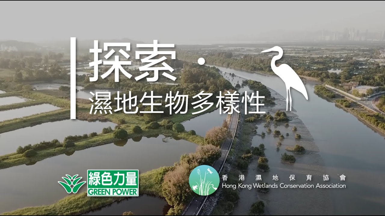 探索．濕地生物多樣性