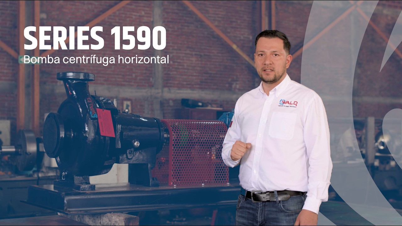 Bomba Centrífuga Serie 1590 Heavy Duty | Solución de Bombeo Industrial WALDl