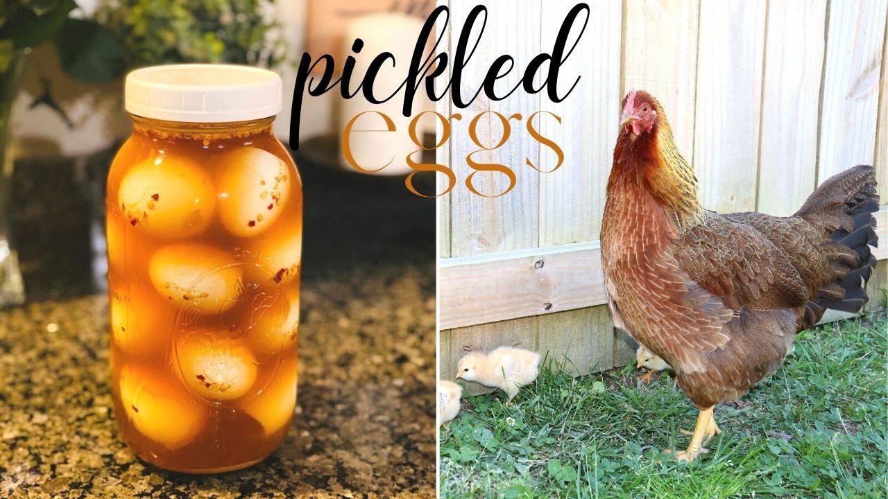 Make Pickled Eggs with Me! 🐓 || Preserving Eggs || EASY Turmeric Pickled Egg Recipe!