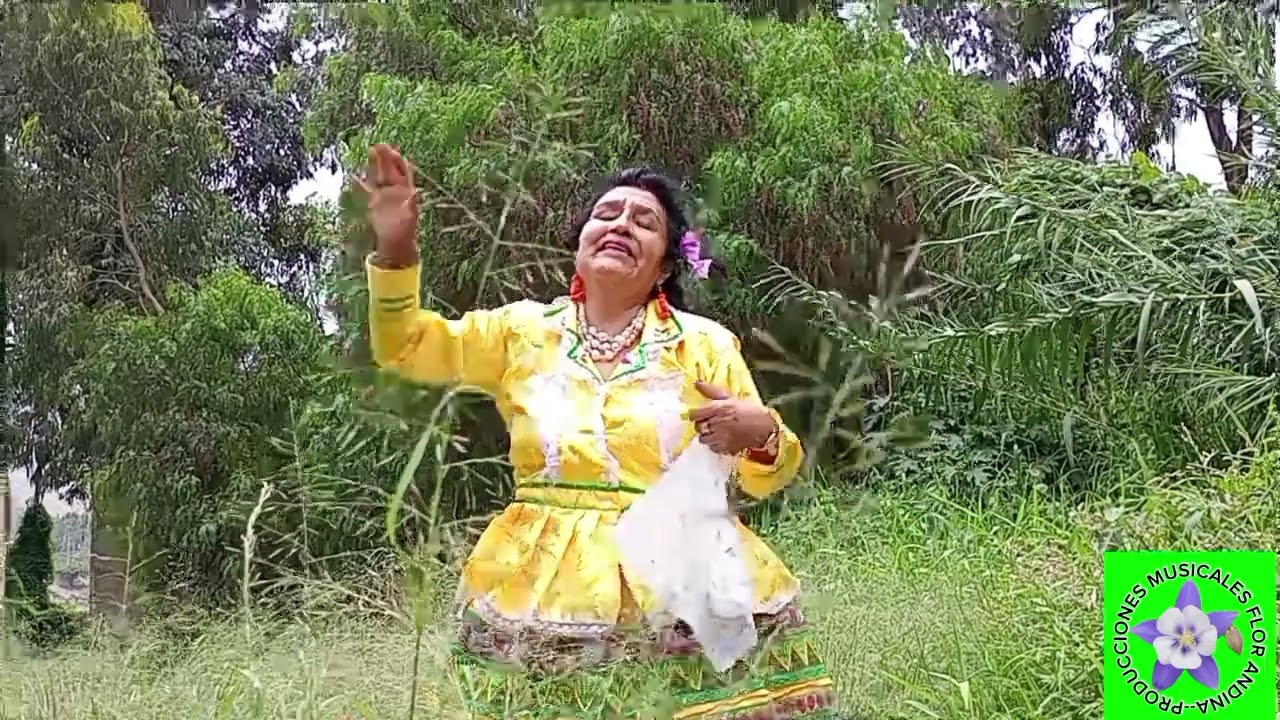Canta flor andina de llactún DR