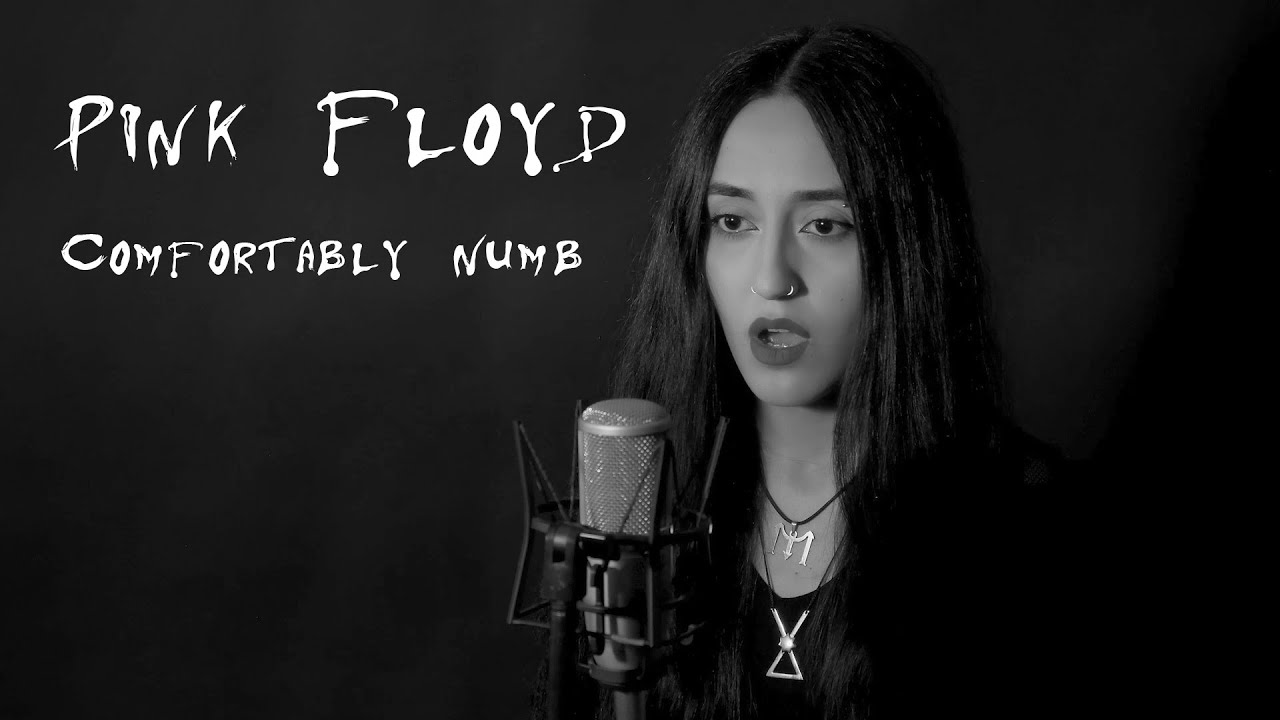 Pink Floyd - Comfortably Numb (Mary Namyra Cover)