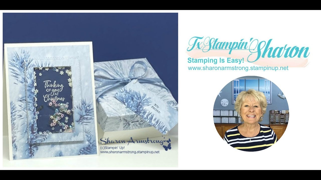 Easy Shaker Cards You'll Want to Make + Bonus Project