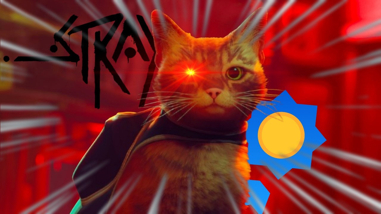 Stray %100 BAŞARIM beni MİYAVLATTI