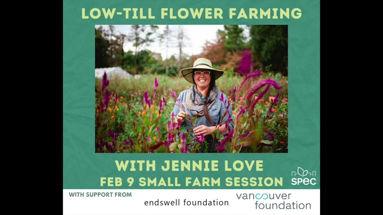 SPEC Small Farm Sessions 2023 - 4: Low-till Flower Farming with Jennie Love
