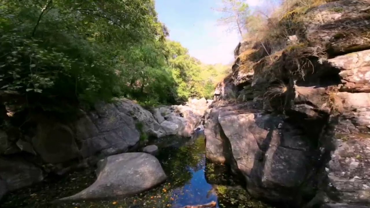 By the Bestança River, through the eyes of a bird...