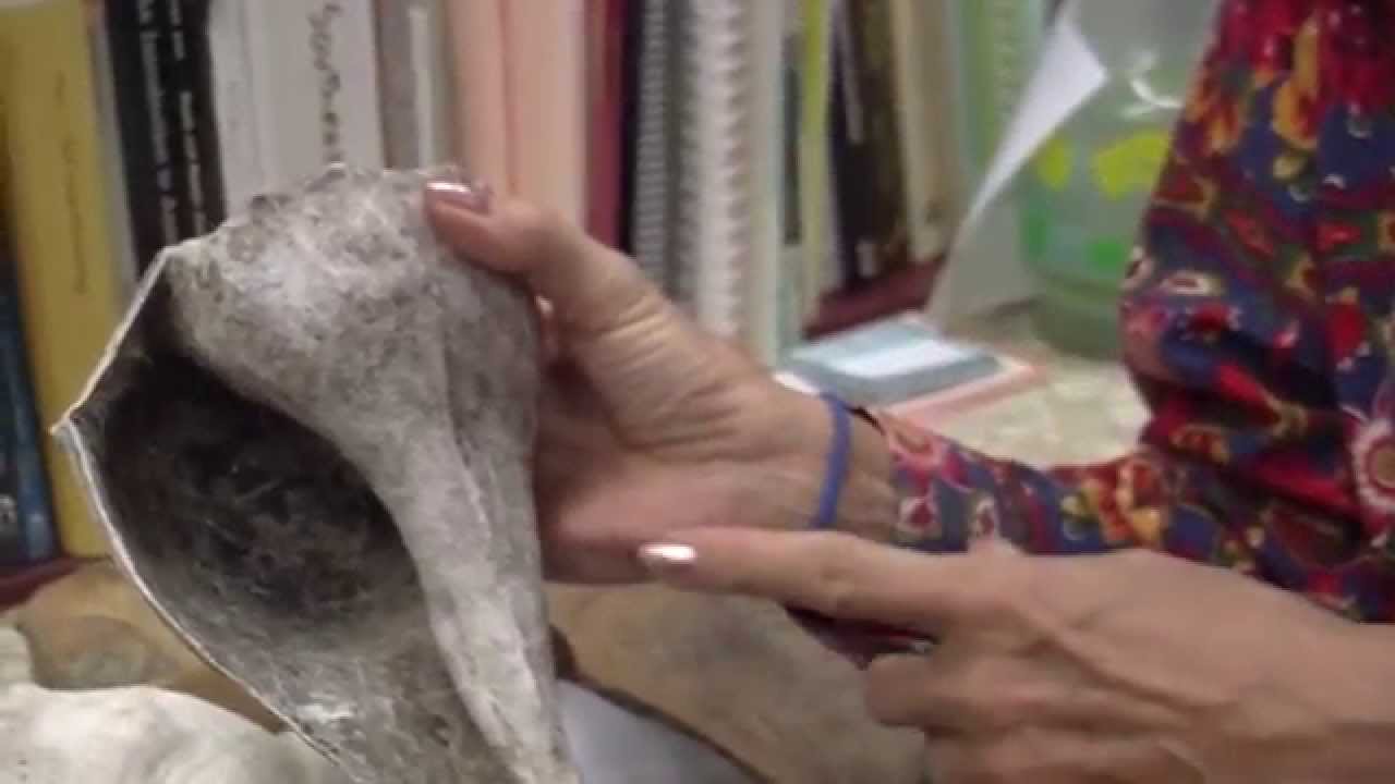 University of South Florida - Anthropology Department