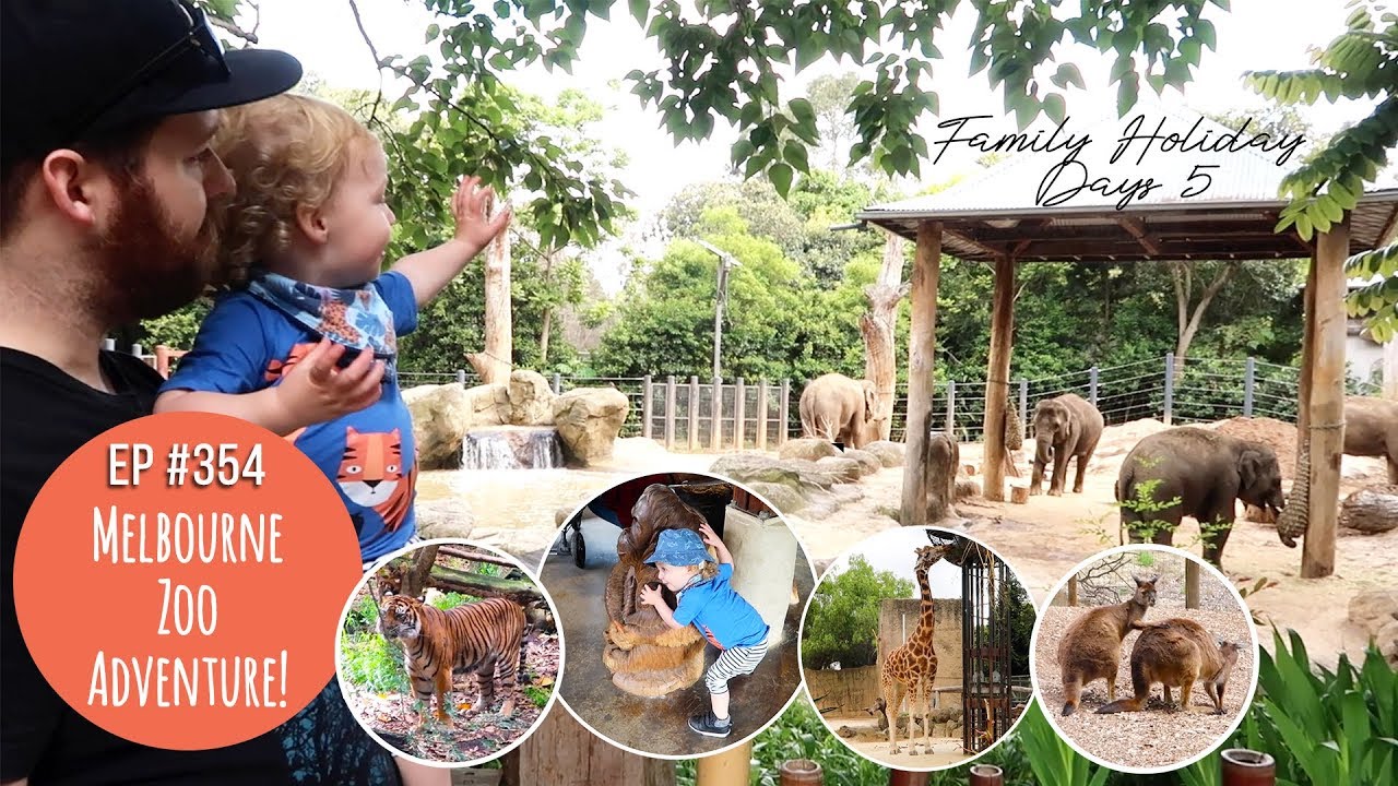 MELBOURNE ZOO ADVENTURE! // Ep #354 *Aussie Family Holiday*