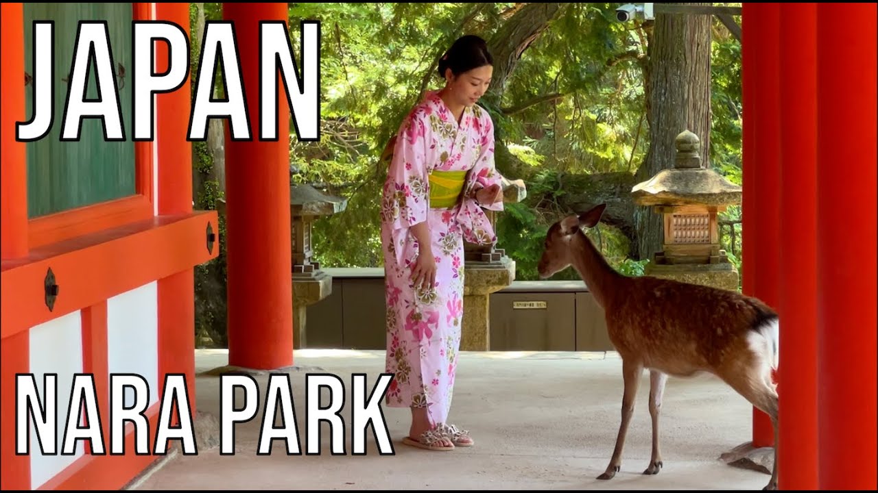 Nara Deer Park - MUST visit place in Japan