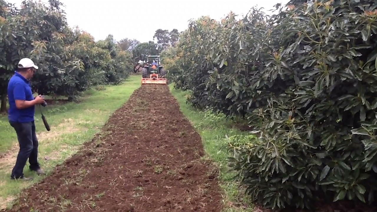 ROTOVATOR REFORZADO CODELBA