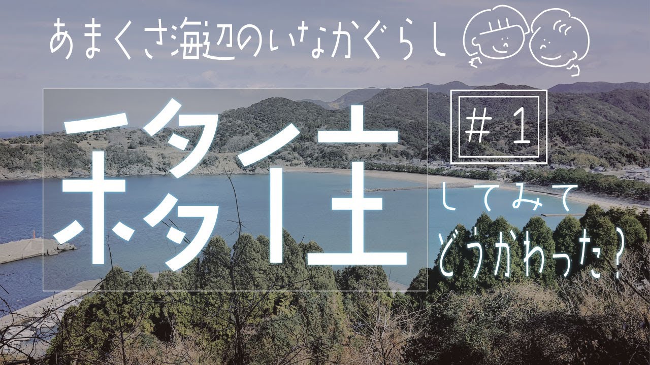 [ど田舎の海辺に移住しました！]　移住後の生活が激変！移住した理由