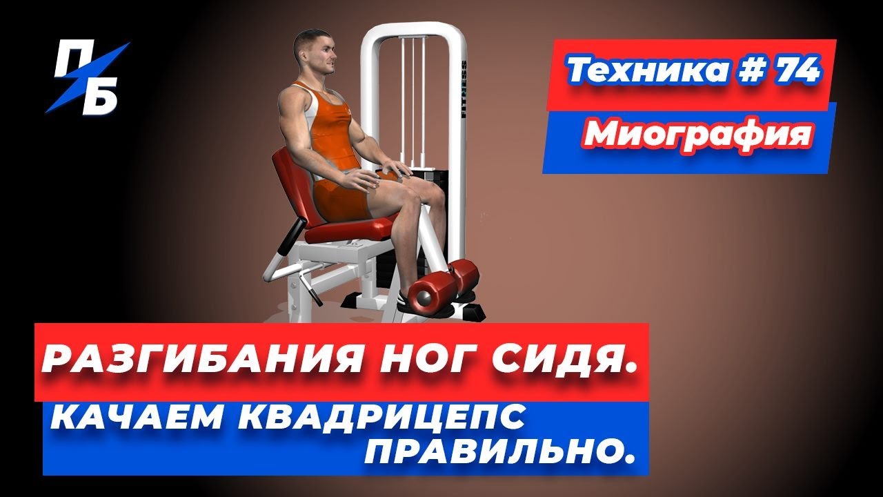 Разгибания ног сидя. Качаем квадрицепс правильно
