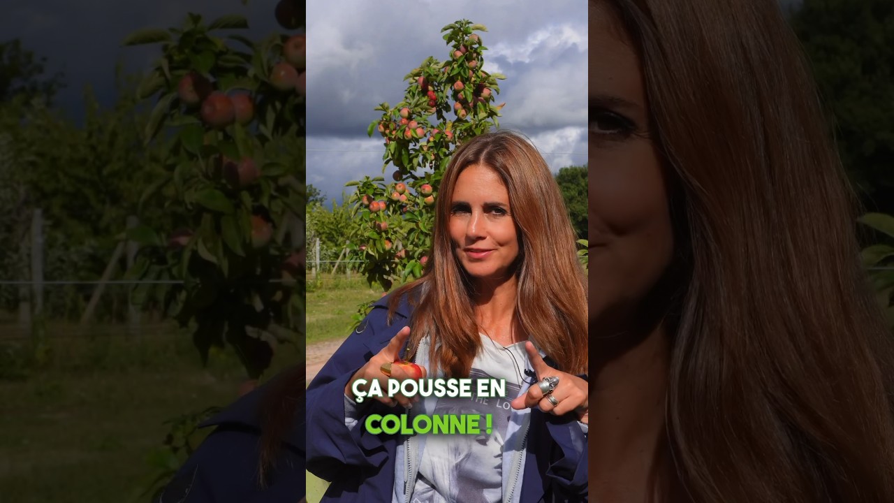 Les arbres fruitiers en colonne @georges.delbard #fruitier #arbre #fruit