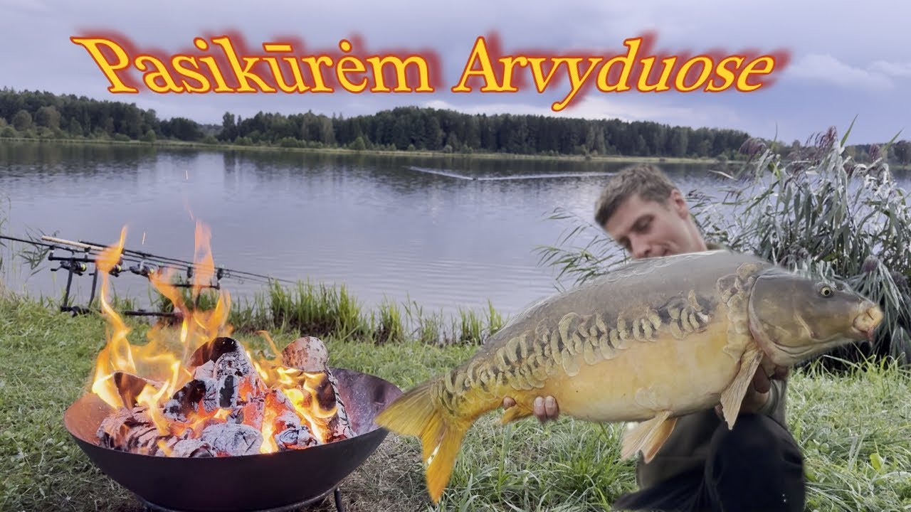 Karpių žvejyba Arvyduose