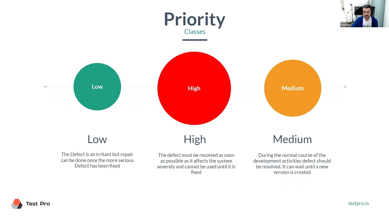 What is defect priority?