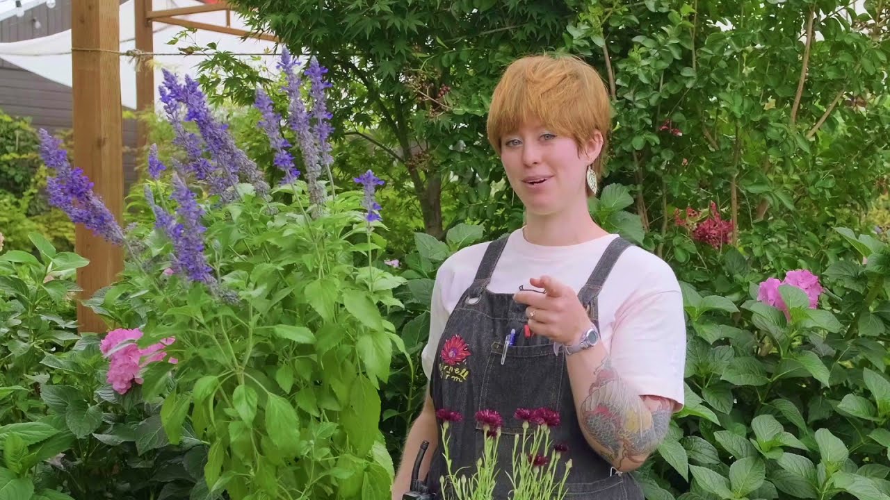 Josie's Top 5 Pollinator Plants