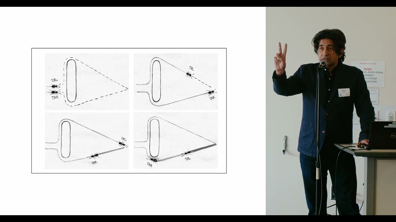 The Emergence of Intelligence in Machines