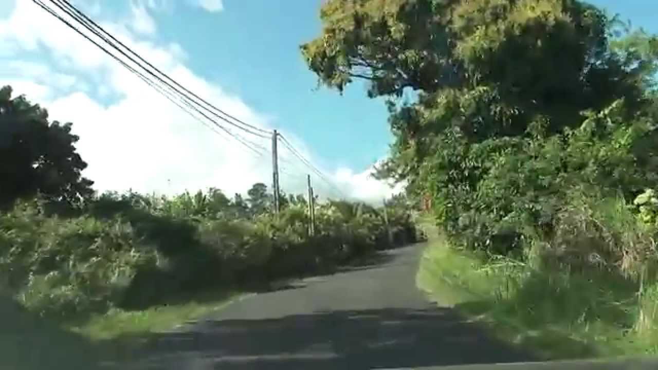 Ile de la Réunion, le Tampon - Trois Mares,part 5
