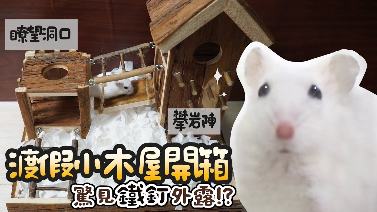 倉鼠渡假小木屋開箱!屋內驚見鐵釘外露?《倉鼠人開箱》