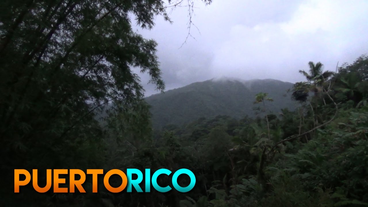 La Mina Falls, El Yunque National Forest - Puerto Rico