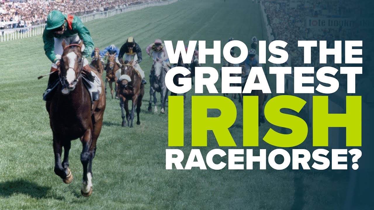 THE BEST IRISH RACEHORSES | Who is your favourite?