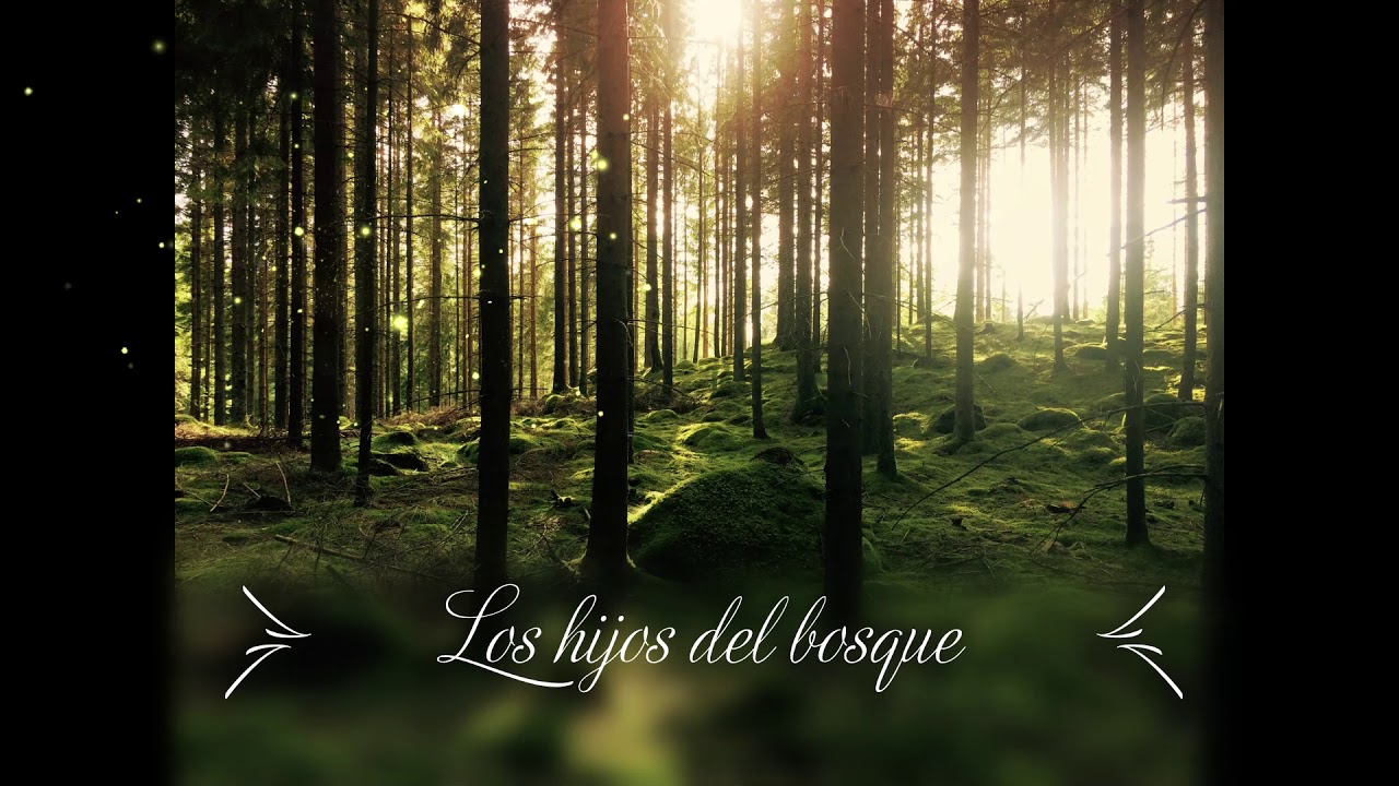 Los hijos del bosque