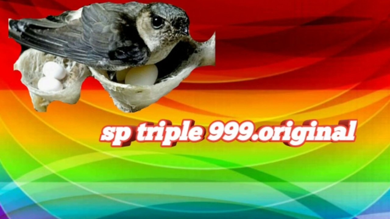 sp walet triple 999
