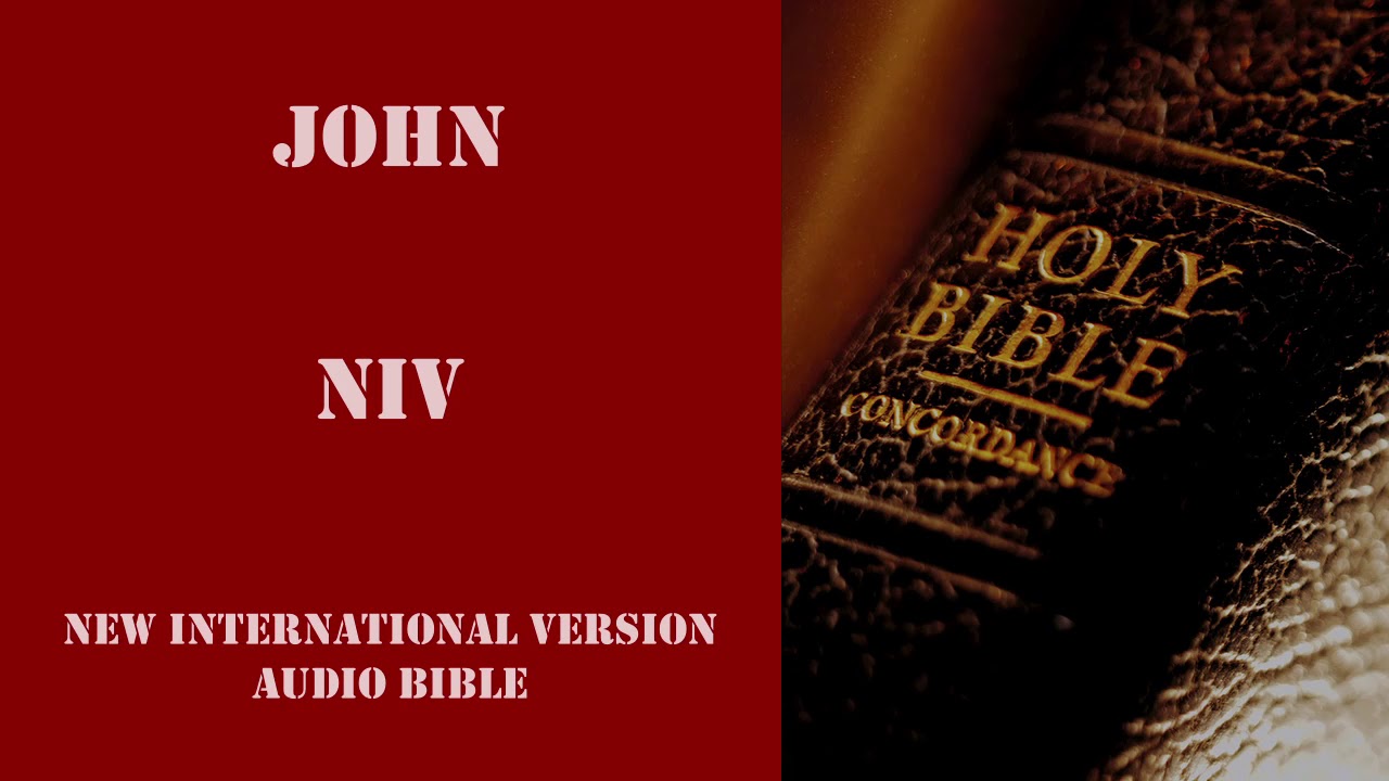 John NIV Audio Bible & Time Index - New International Version by Dramatized.