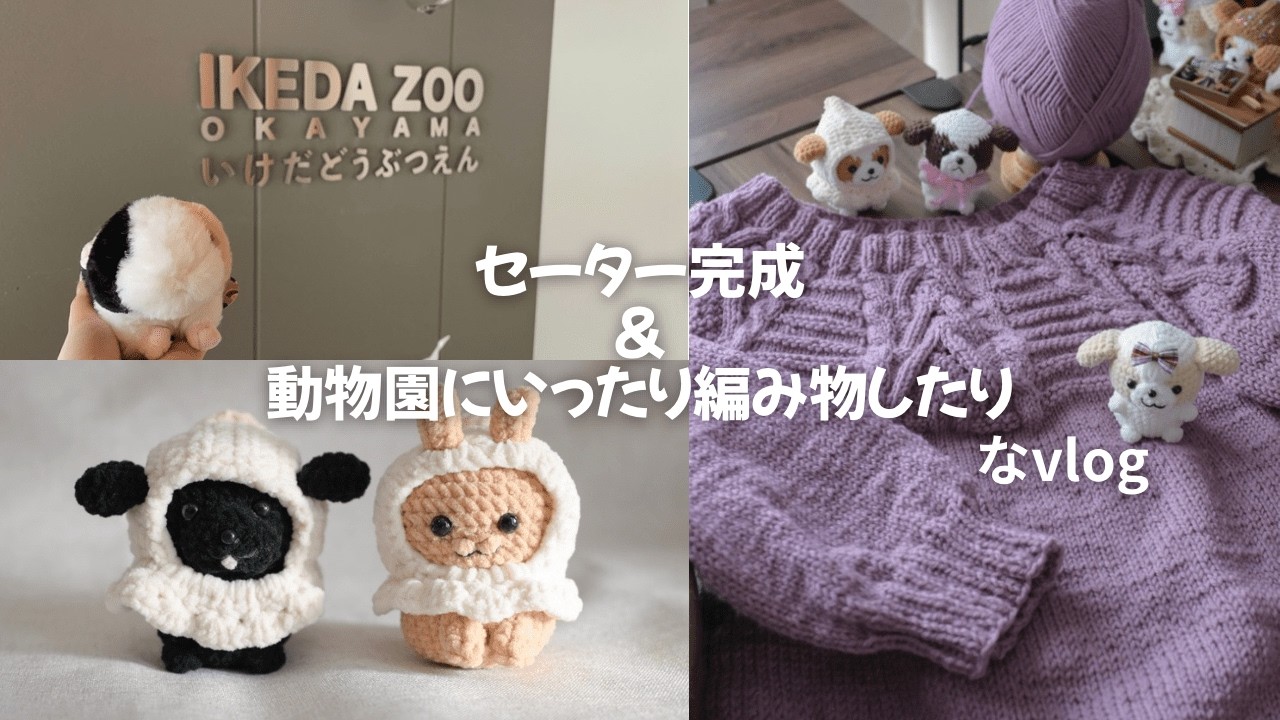 セーターが完成しました🧶🌟動物園に行ったり編み物したりなvlog