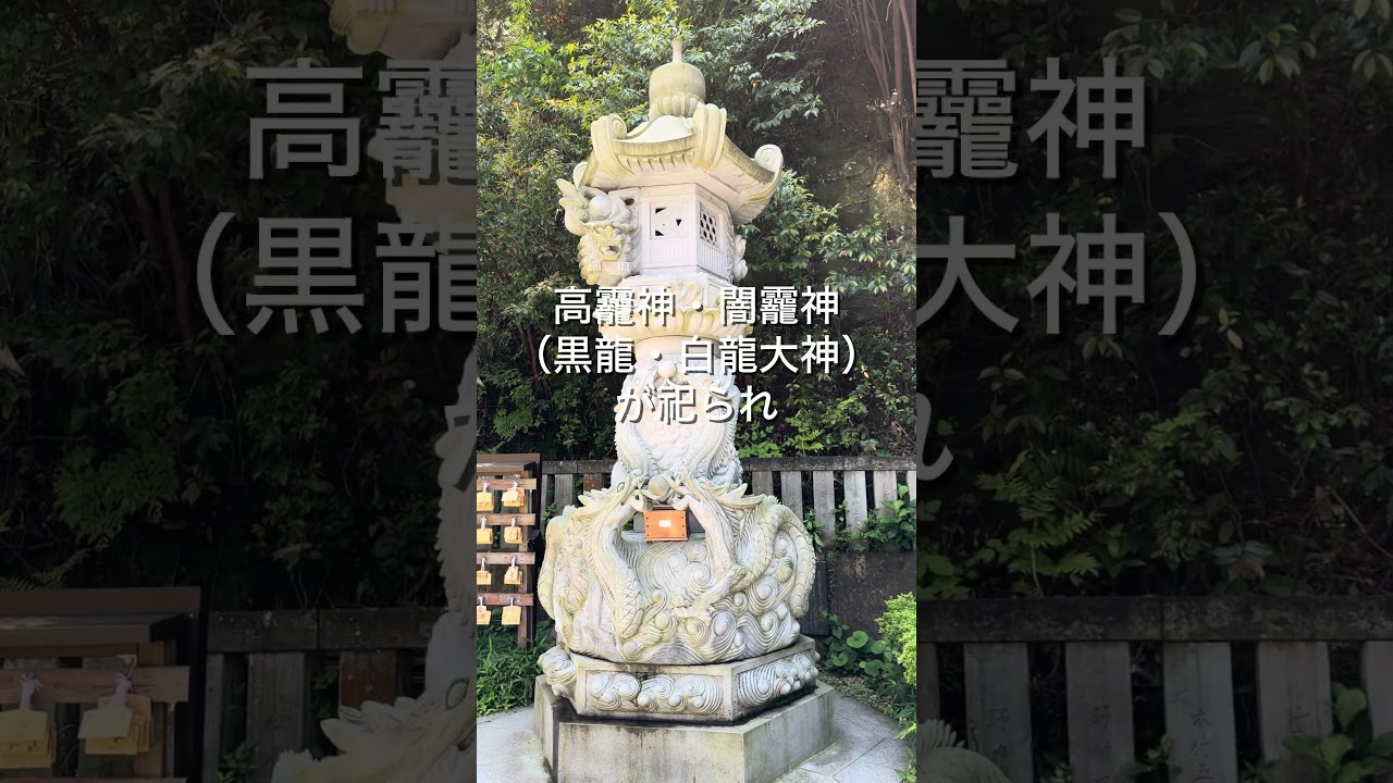 福井のパワースポット！黒龍の力を授かる【毛谷黒龍神社】  