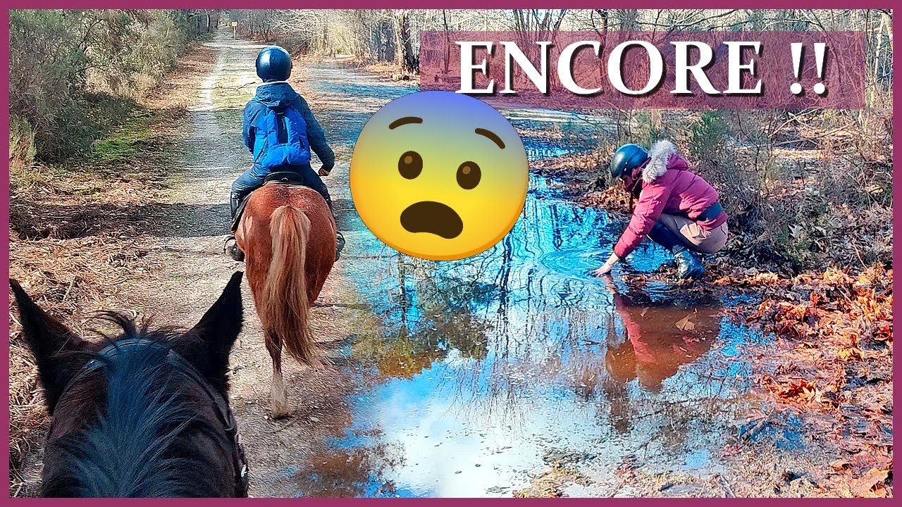 NAN MAIS CA RECOMMENCE C'EST PAS POSSIBLE !! - On part en galoping avec Ace