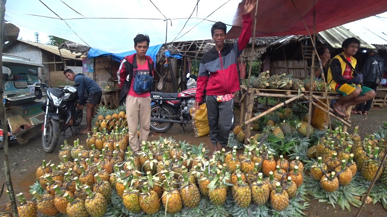 Abundant endemic fruits! Marketplace of Rio Tuba
