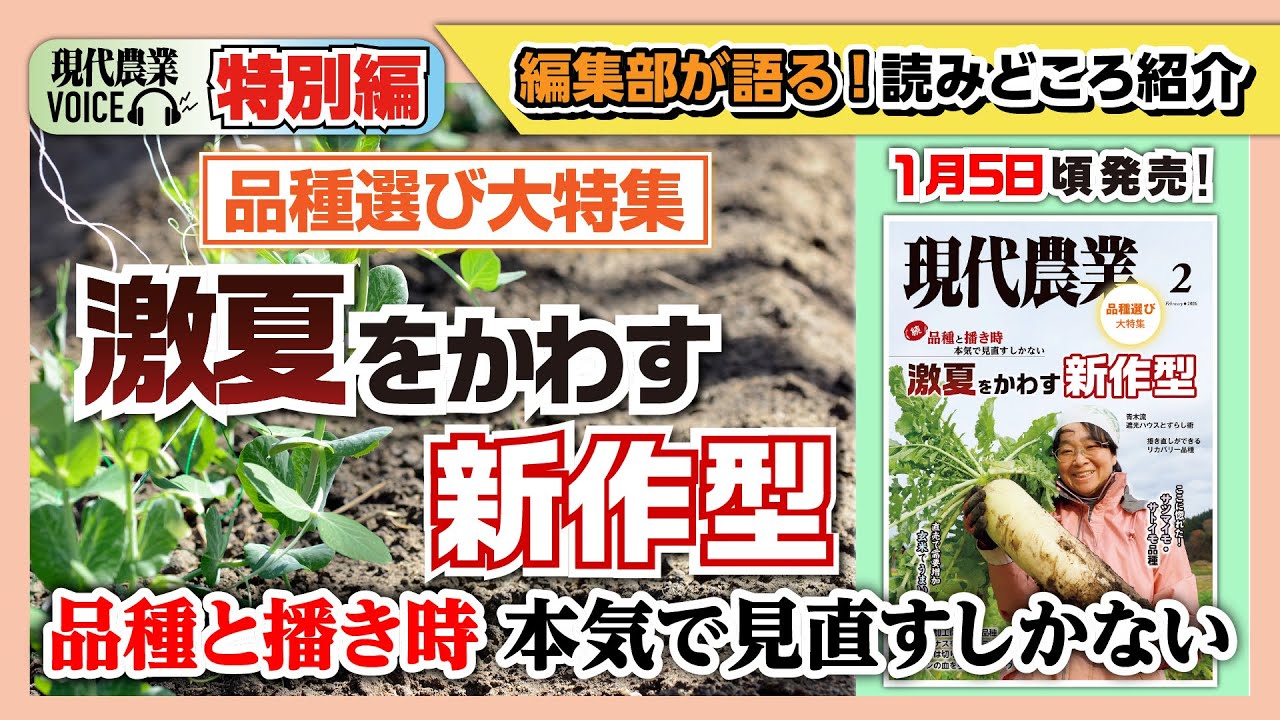 【品種選び大特集】猛暑をかわす新しい作型！品種と播き時、本気で見直すしかない！【現代農業VOICE】