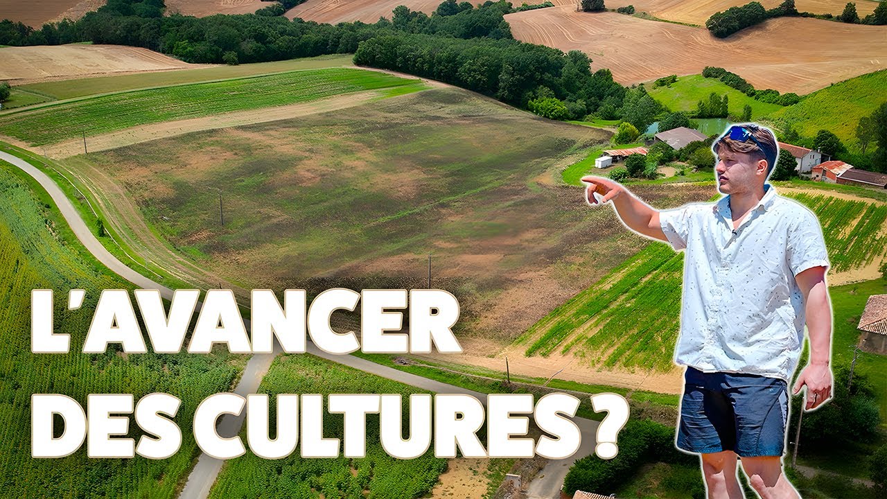 TOUR DES PARCELLES + DEMARRAGE DU GROUPE D'IRRIGATION 🌱[ Un rêve devenue réalité ] 👨‍🌾 - Episode N°3