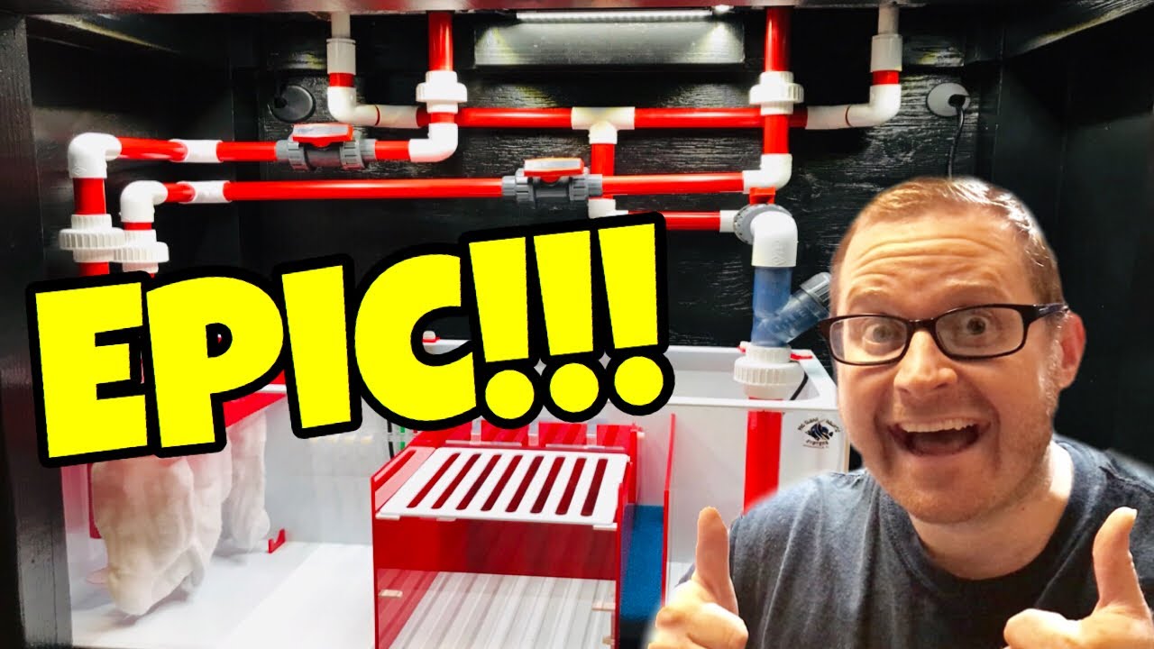 HOW I Created My SHOW SALTWATER REEF TANK SUMP SYSTEM