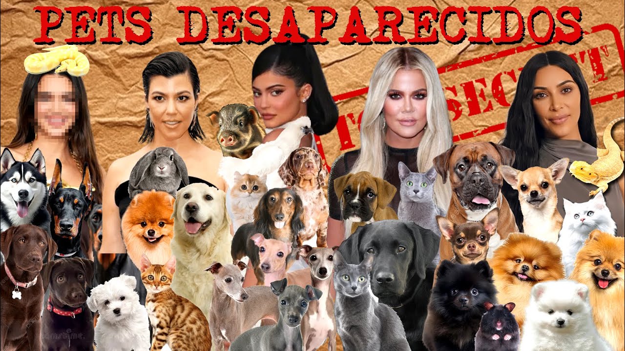 O QUE ACONTECEU COM OS 62 PETS PERDIDOS DAS KARDASHIANS
