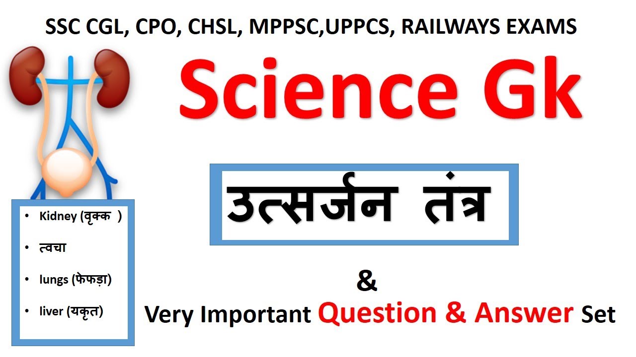 Science Gk | मानव शरीर के तंत्र  :-  उत्सर्जन तंत्र