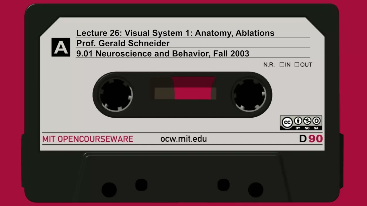 Lecture 26: Visual System 1: Anatomy, Ablations