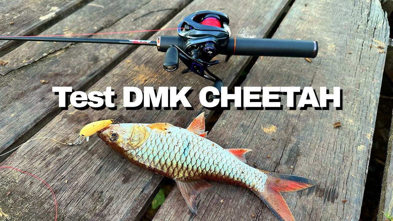 Test DMK CHEETAH, Reel yang Viral Di Tiktok - Vlog Angler Batumandi
