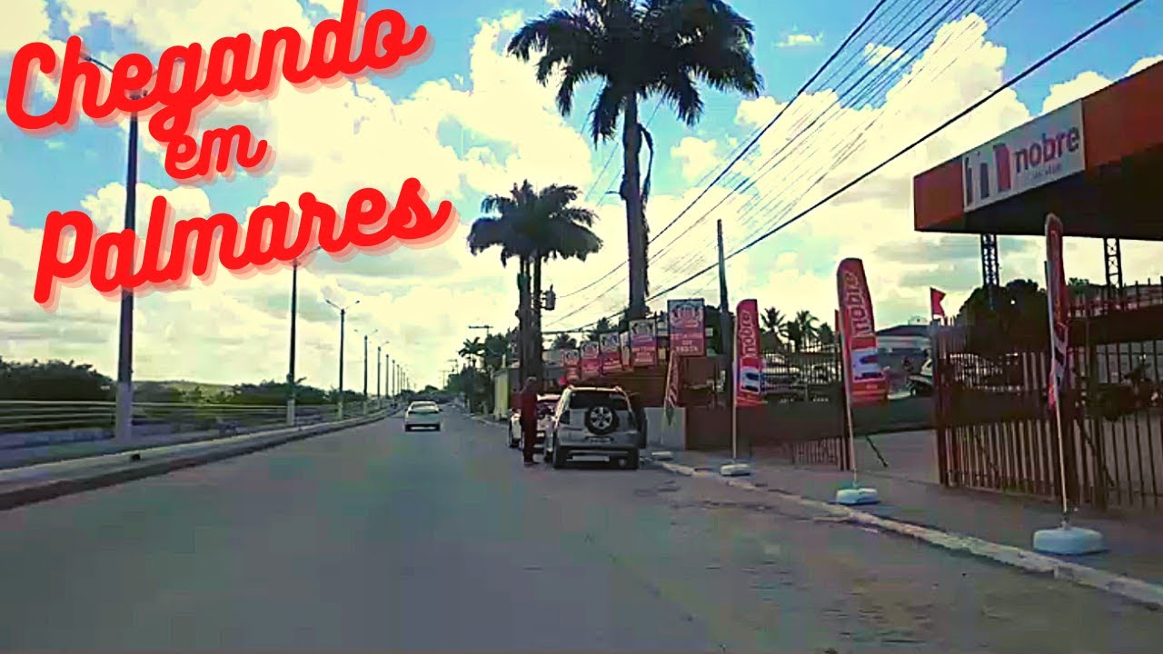 Indo para Palmares│Br 101 Sul