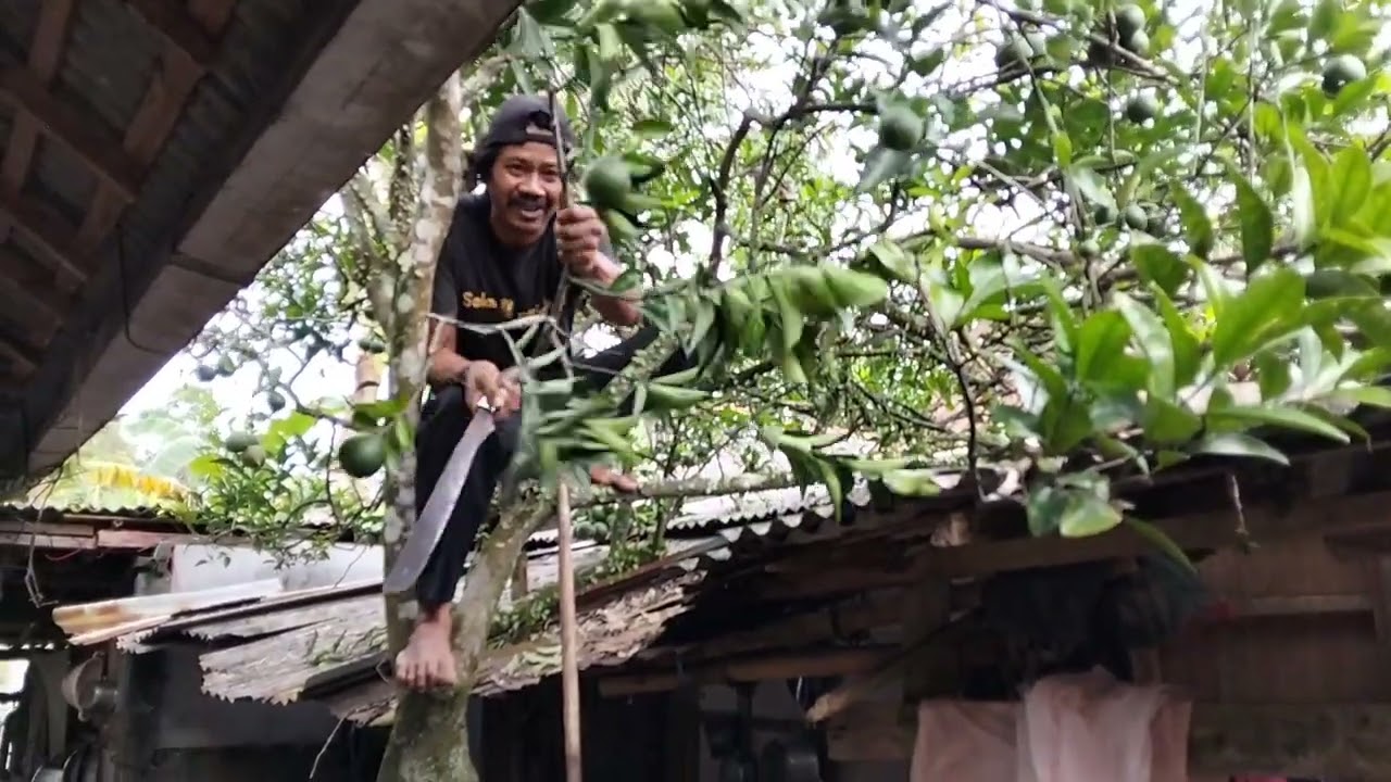 Bantu renovasi atap rumah Mbah ibut